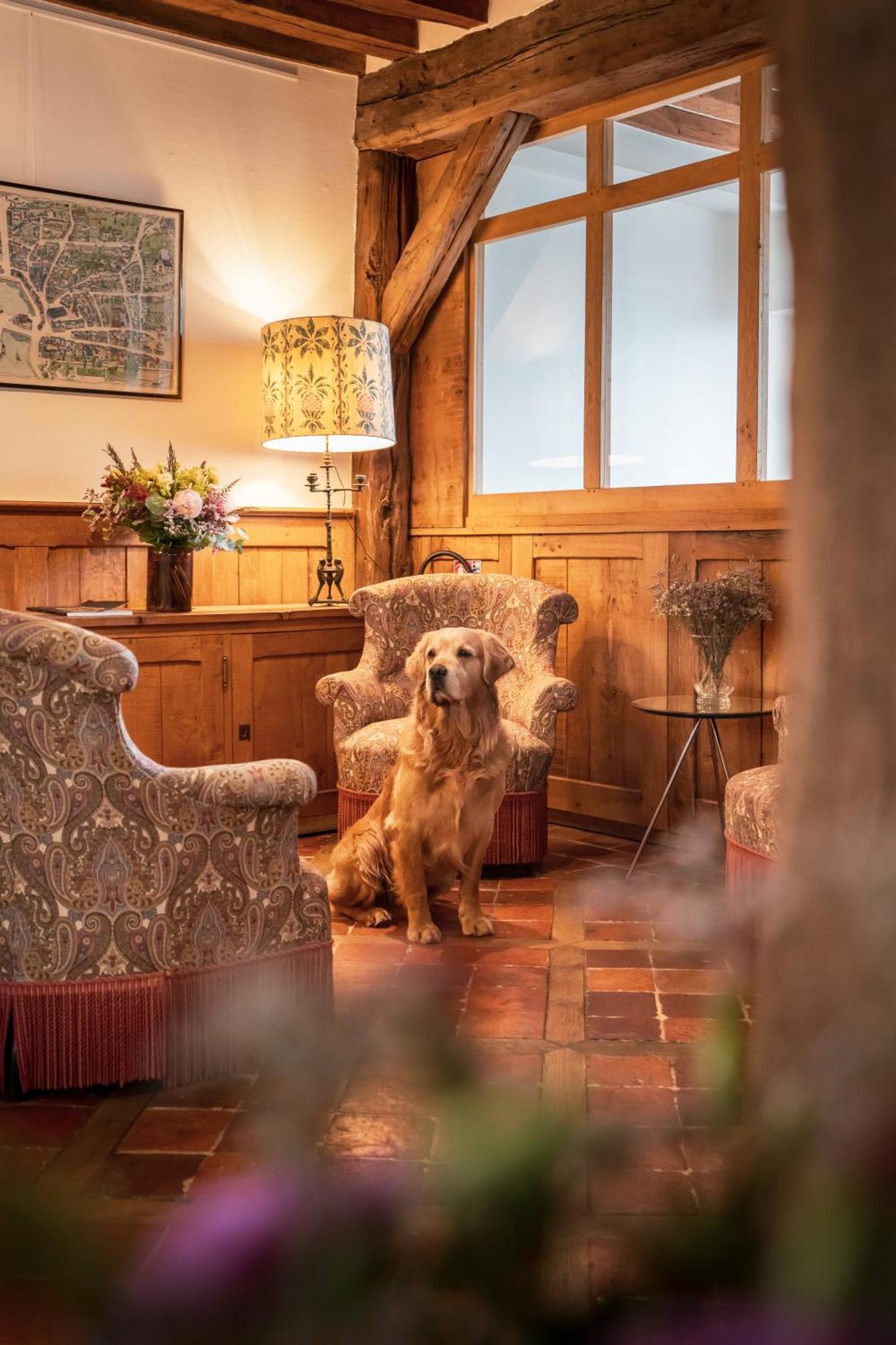 L'Absinthe Hotel Honfleur Bagian luar foto